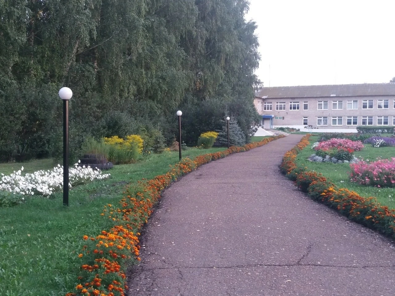 Постер МОБУ СОШ с. Сихонкино*