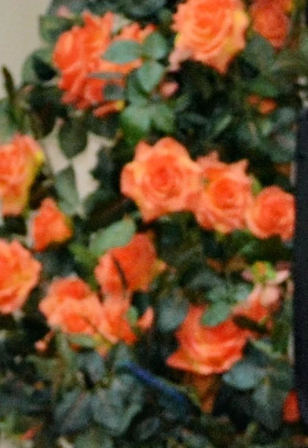 Постер Тематическая программа «Фронтовые кумиры» в Уфе