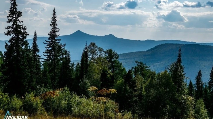 Постер Парк Малидак