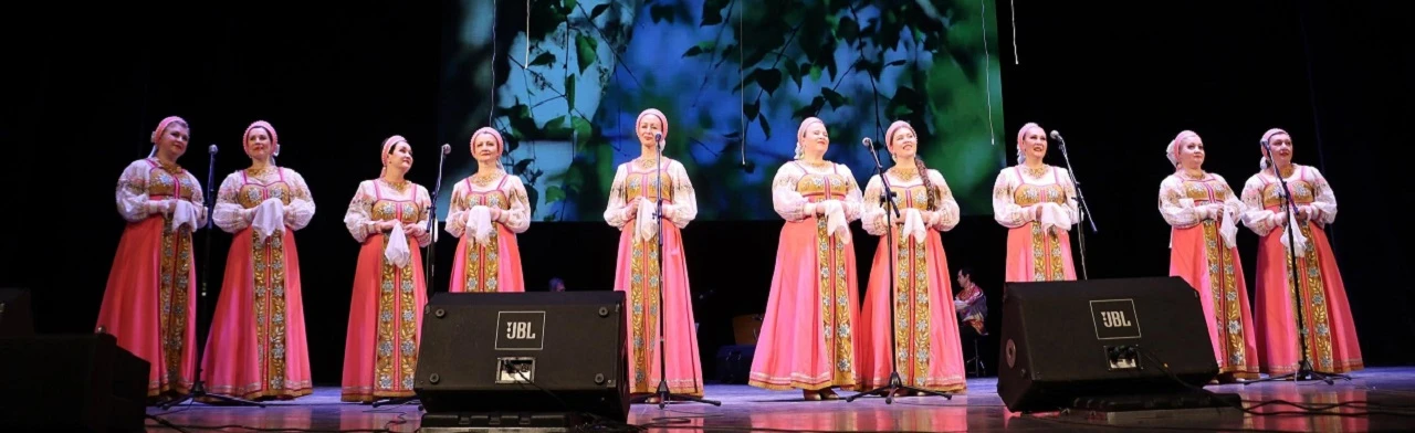 Постер Ансамбль песни и танца "Волгари" в Ульяновске
