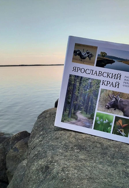 Постер Заповедные места Ярославского края. Краеведческое путешествие в Ярославле