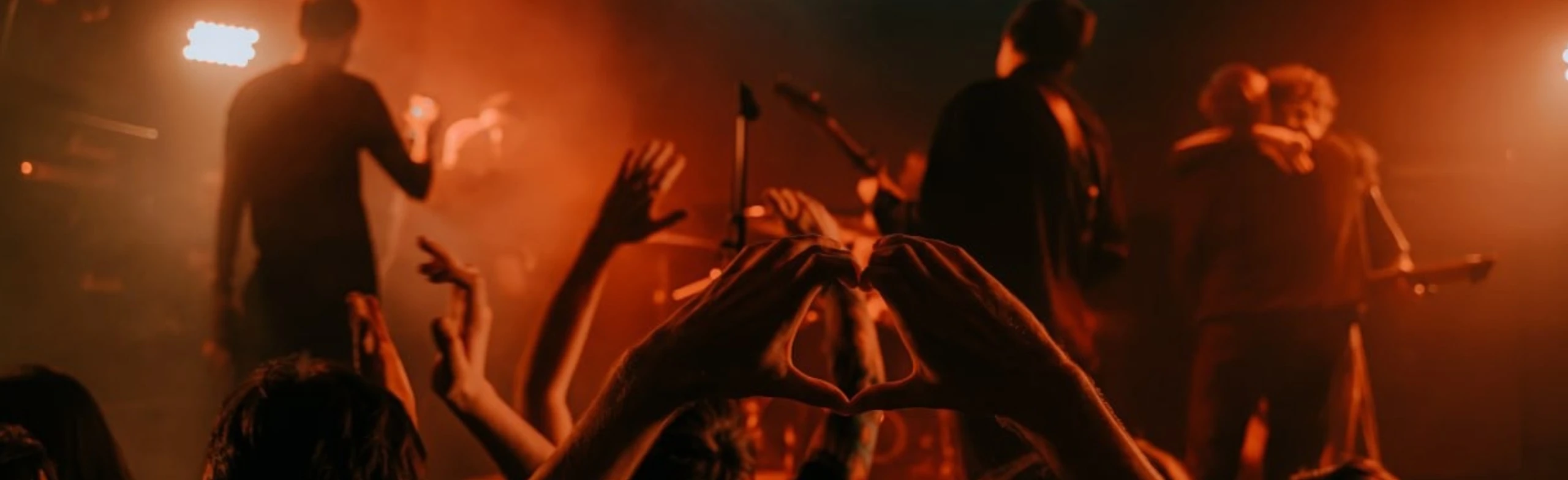 Постер Bird Bone в Ярославле