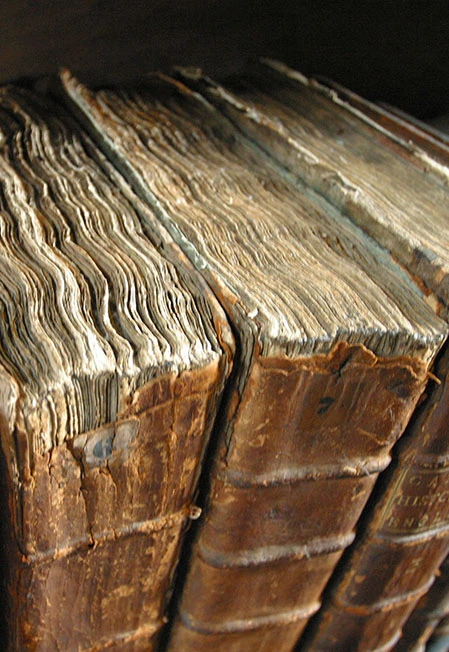 Постер История старых книг. Библиотечный урок в Ярославле