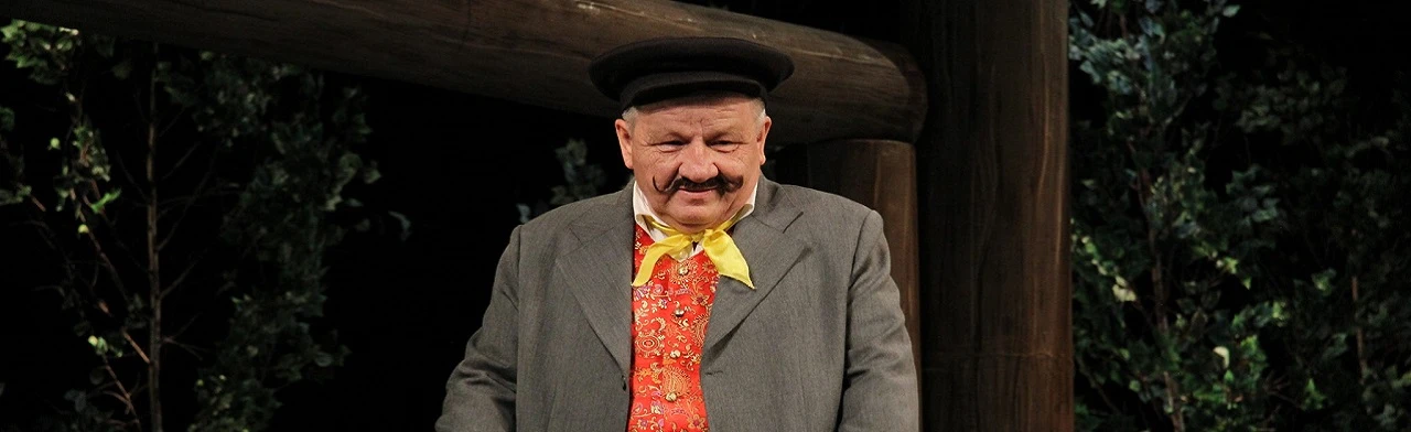 Постер Салика