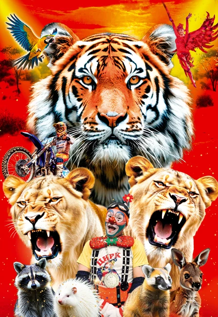 Постер Золото Африки. Цирк в Йошкар-Оле