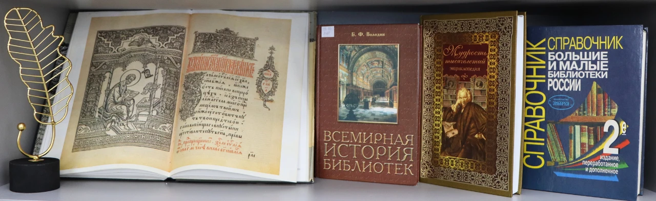 Познавательная программа "Книжные тайны: приключение в библиотеке"