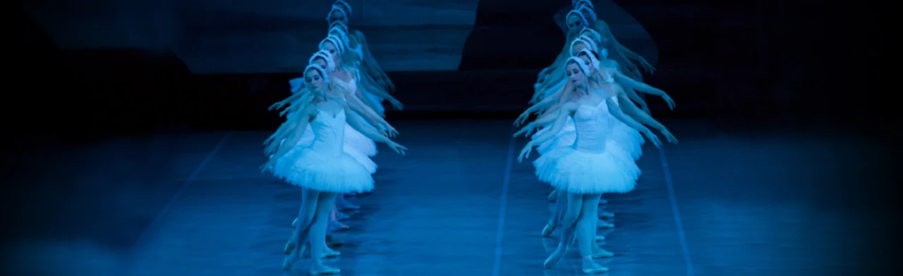 Лебединое озеро