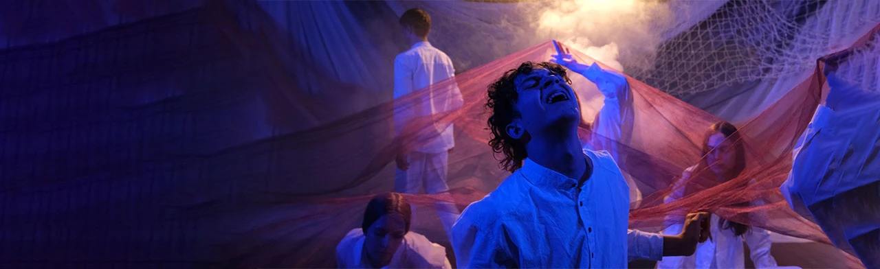 Чайка по имени Джонатан Ливингстон