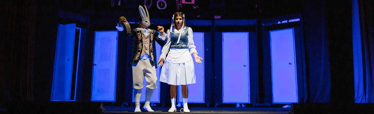 Новогоднее шоу-представление "Новый год в Стране Чудес" по сказке Льюиса Кэролла