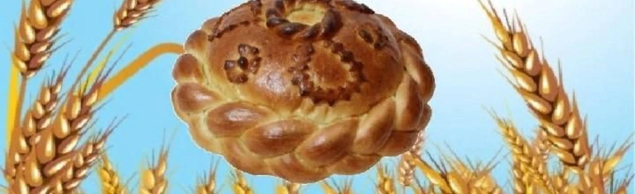 От зернышка до каравая: Познавательная программа