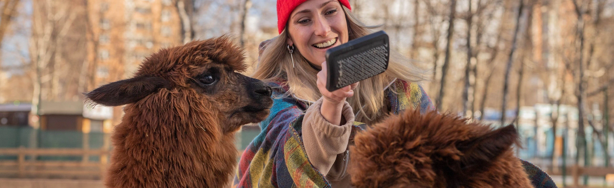 Бьюти-утро с альпаками в Пача Мама Ростов