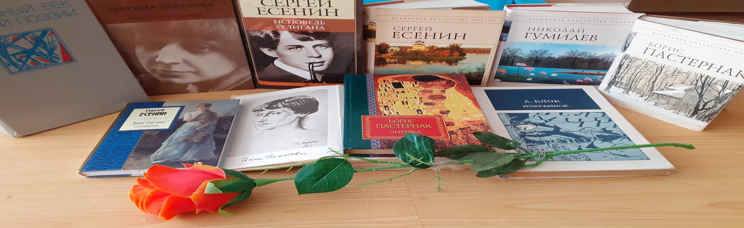 Серебряные души – собратья по перу. Программа
