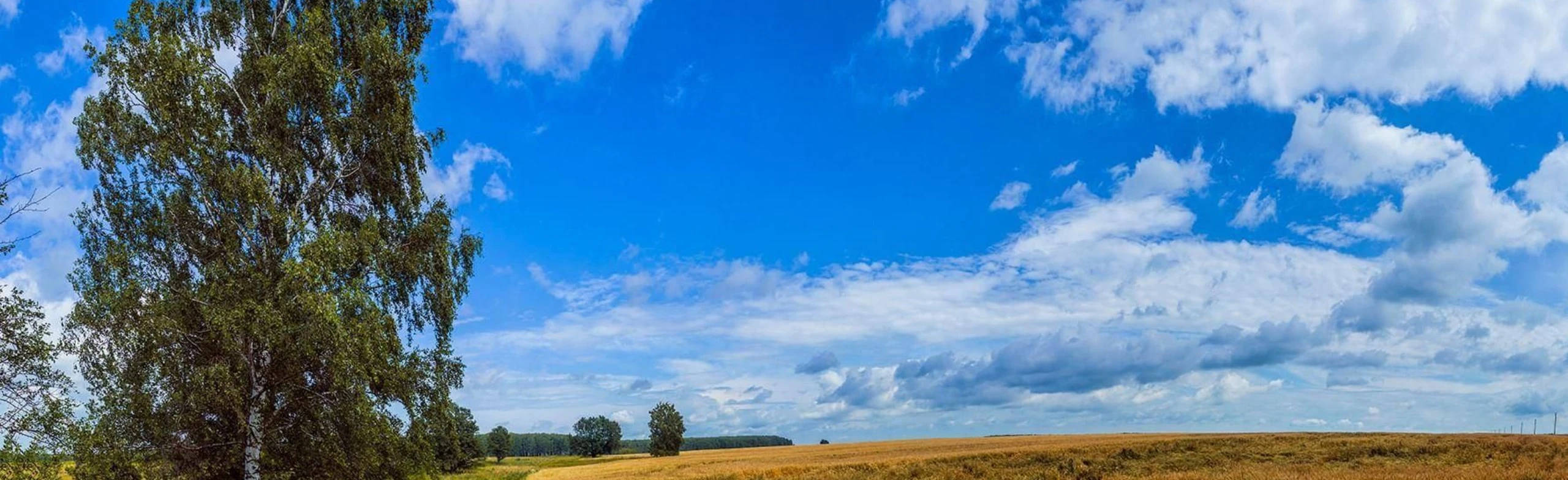 Летопись родного края: страницы истории. Краеведческий квилт