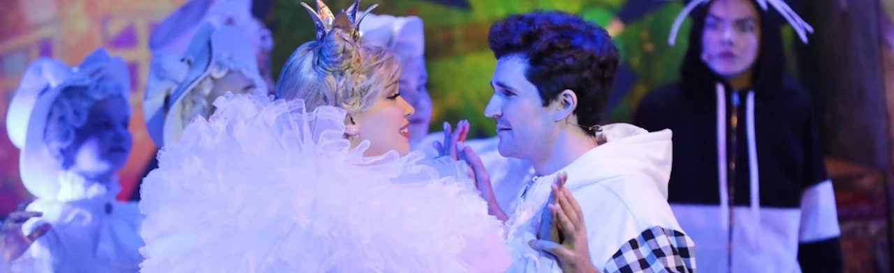 Бременские музыканты (РГМТ)