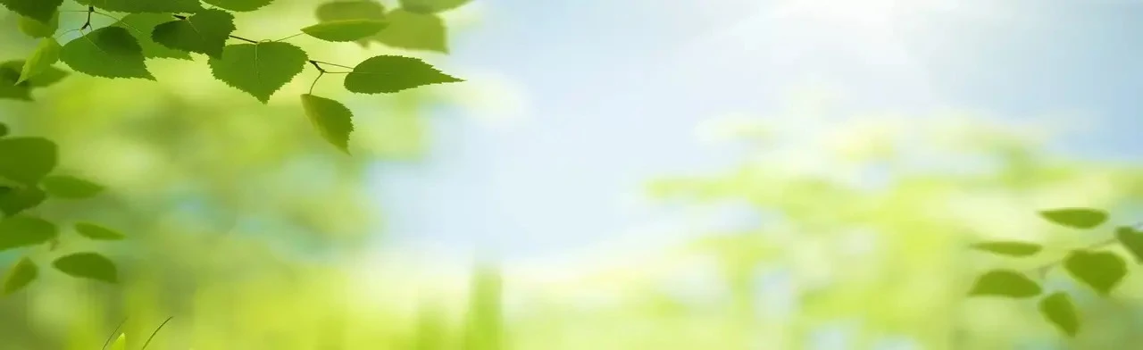 Приметы и поверья. Интеллектуальная игра