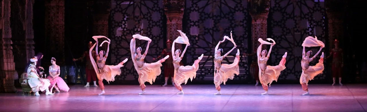 Баядерка (РГМТ)