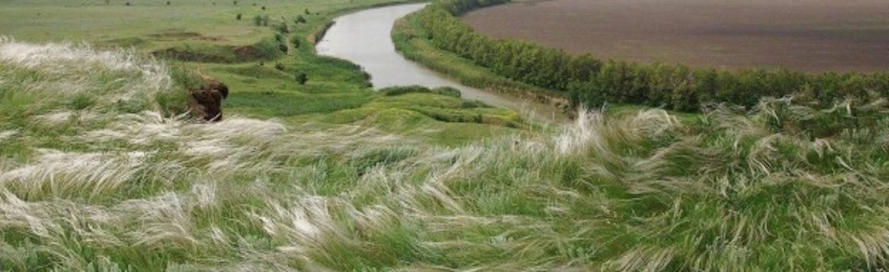 Вдогонку за лидером