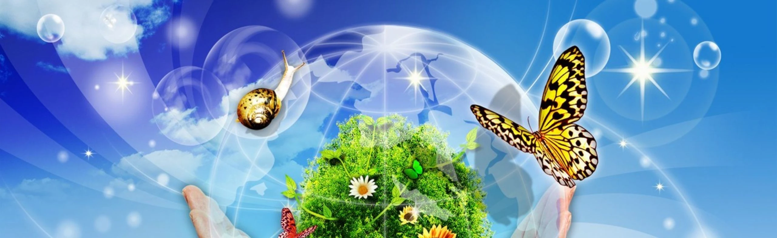 Это Земля - твоя и моя: Игра-викторина