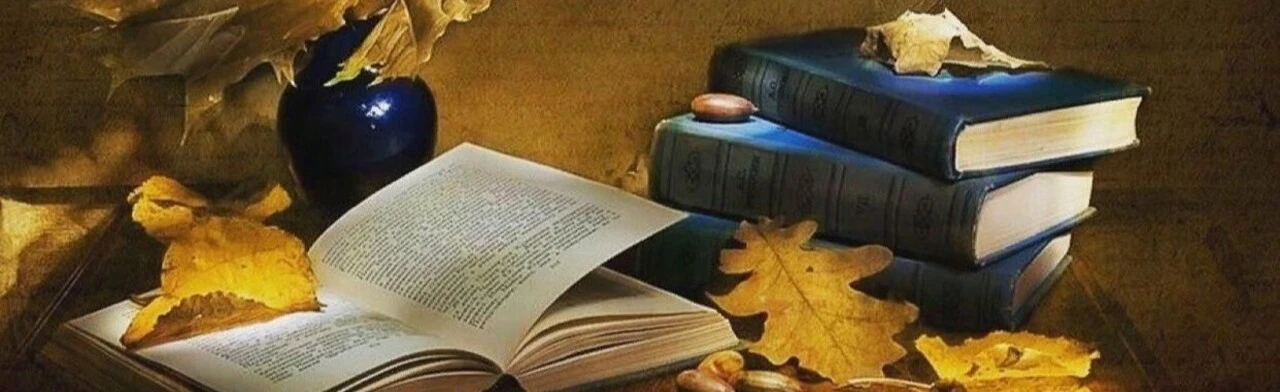 Удивительный мир поэзии. Литературное путешествие