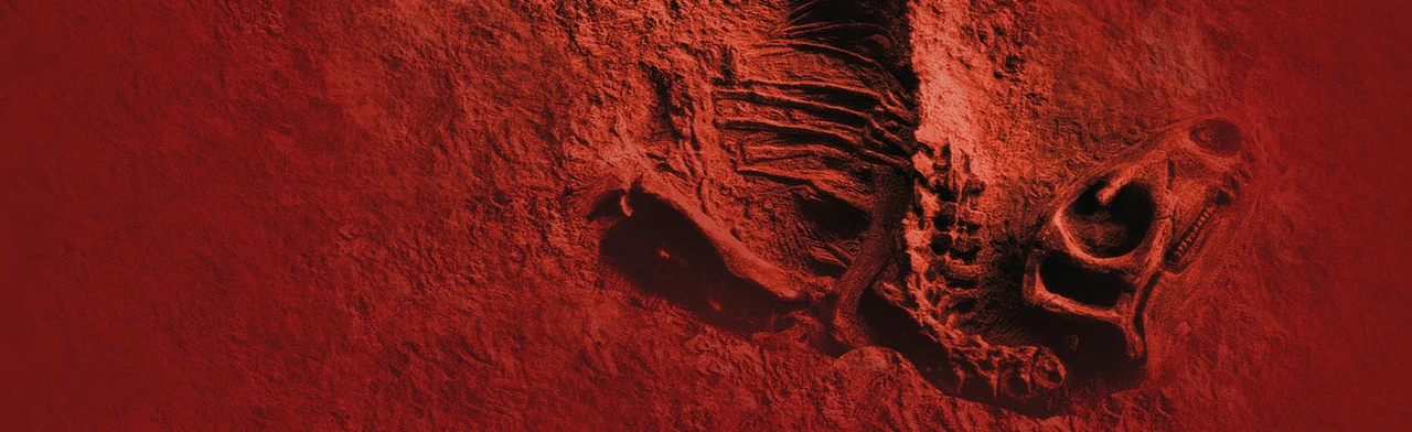 Древняя жизнь. Вятского палеонтологического музея