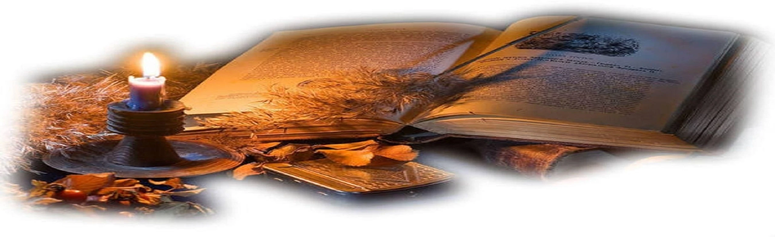 Удивительный мир поэзии