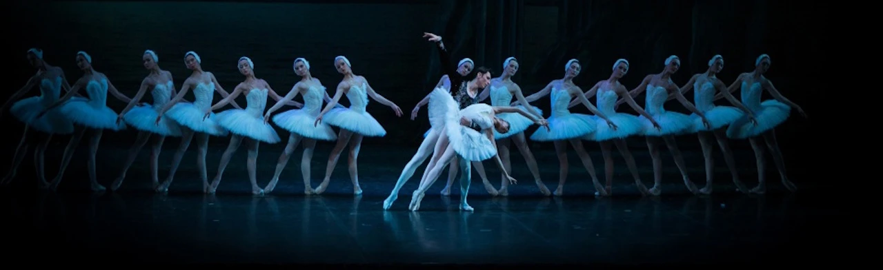 Лебединое озеро (РГМТ)