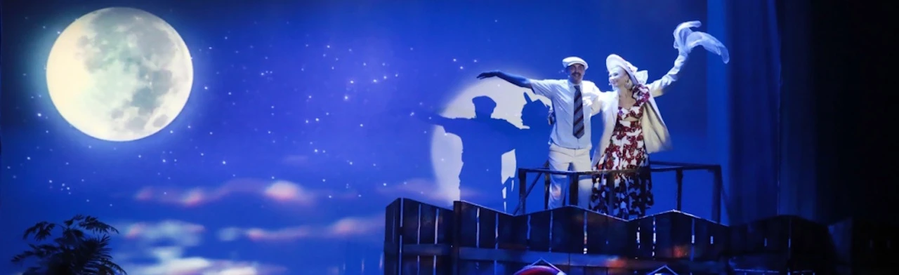 Любовь и голуби (РГМТ)