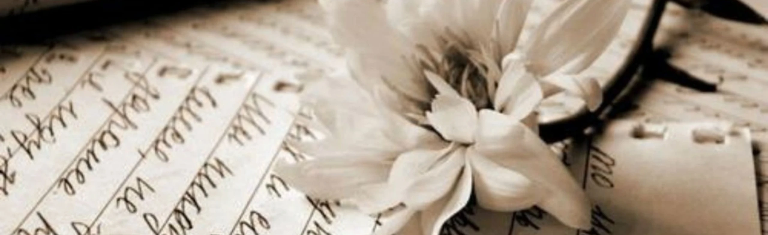 Красота, живущая в стихах. Вечер поэзии