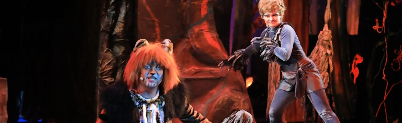 Маугли (РГМТ)