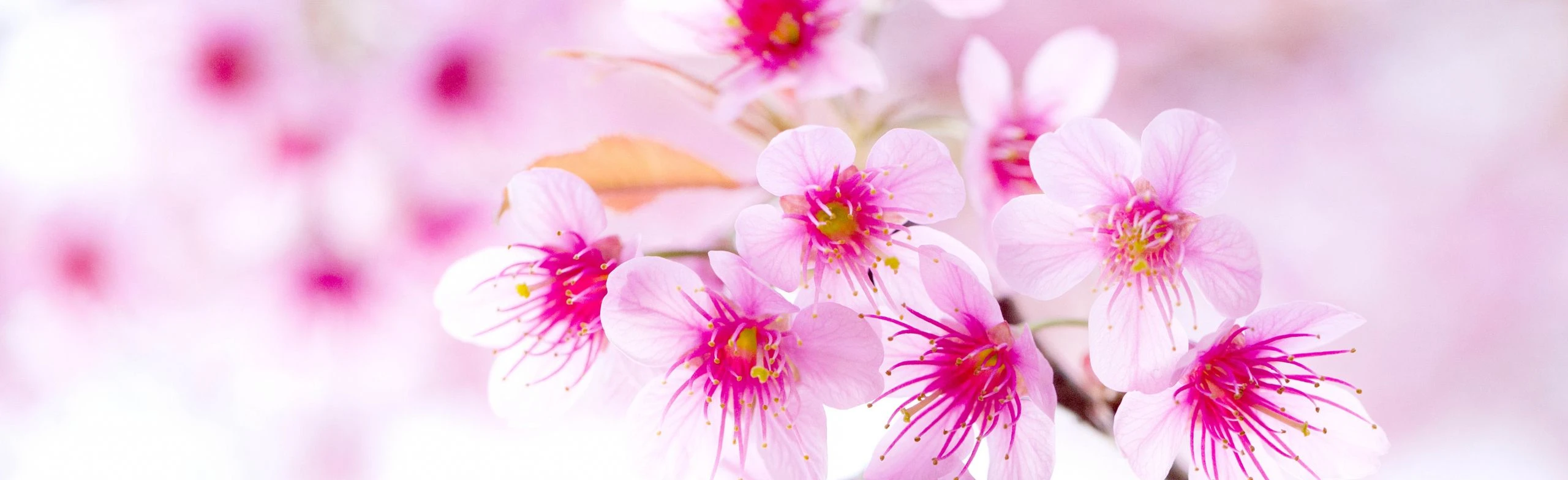 Её величество - женщина. Посиделки