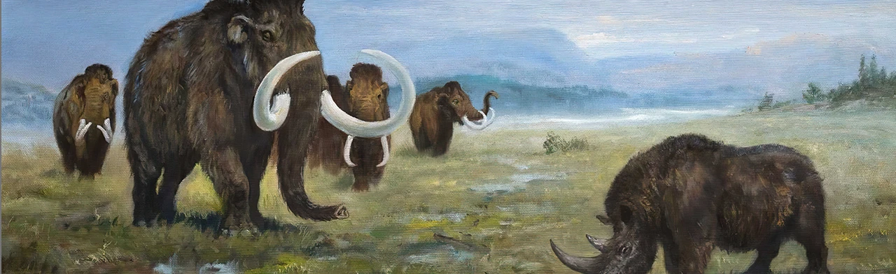 Палеонтология Дона. Выставка