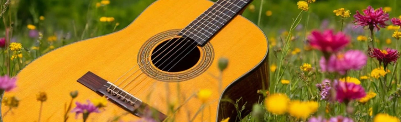 Музыка лета: от классики до современности. Интеллектуальная игра