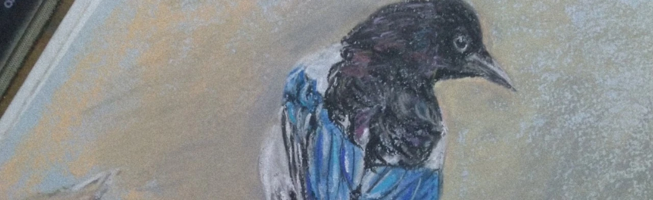 Путеводитель по мягким материалам для рисования. Мастер-класс