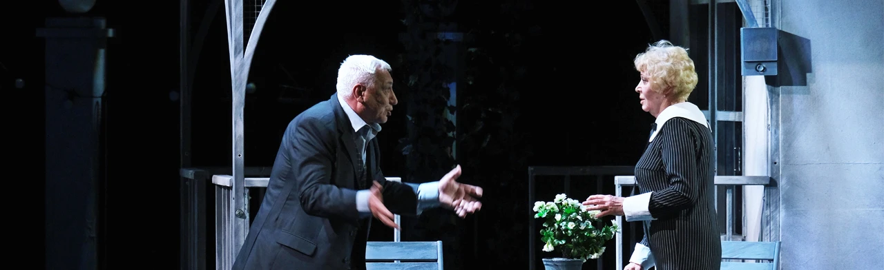 И зимой цветут деревья (РАТД)