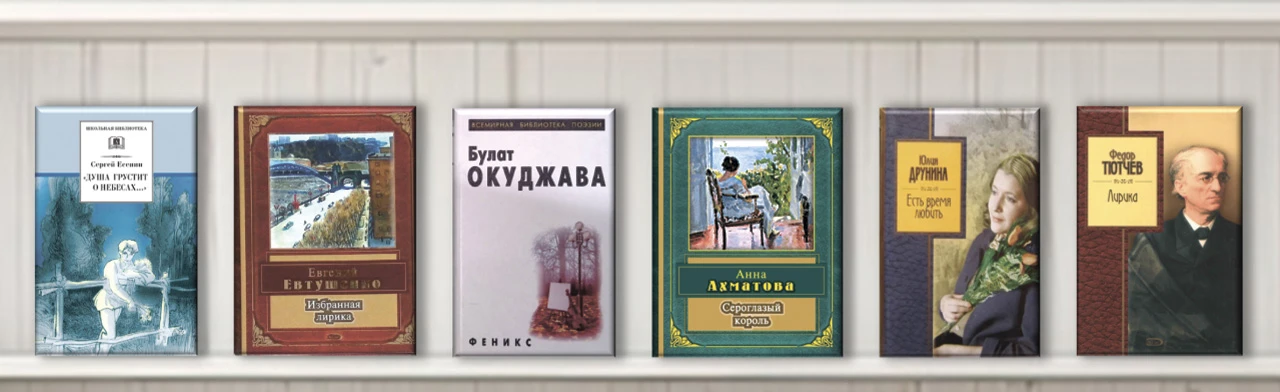 Стихи в кармане. Поэтическая гостиная