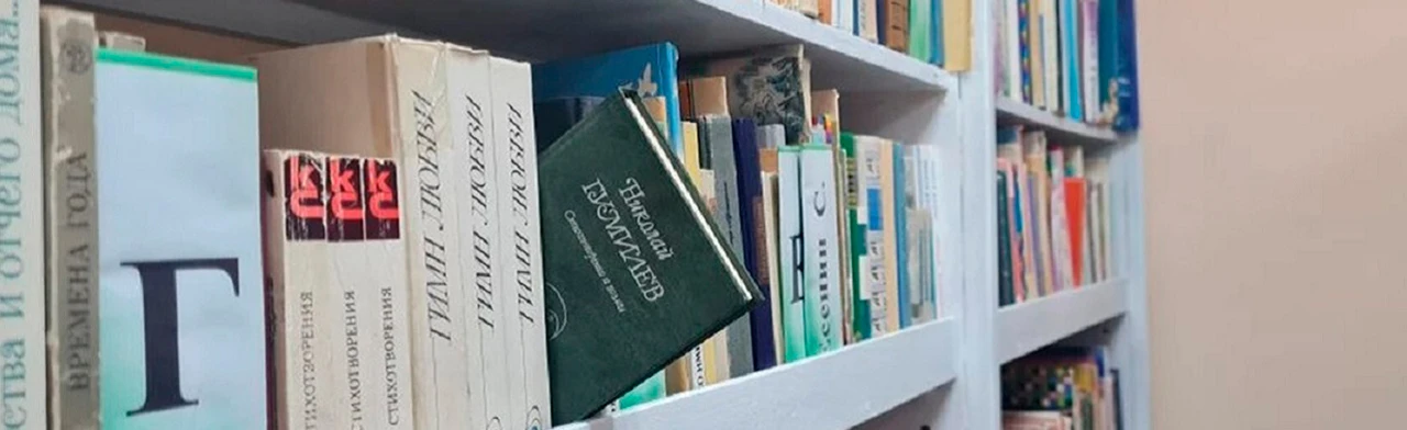 Путешествия с Гумилёвым: поэтический маршрут. Литературная гостиная