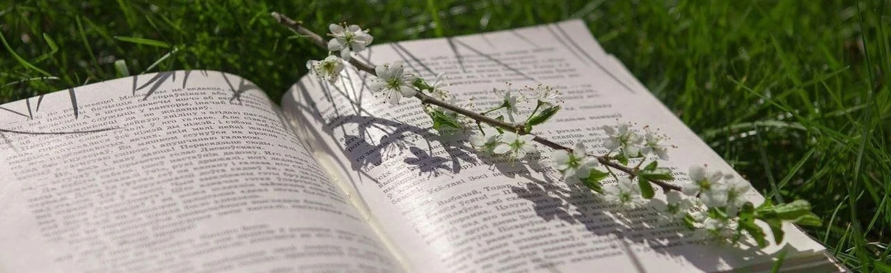 Летние романы. Литературный вечер