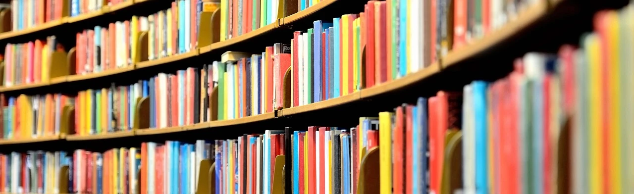 Нескучная классика: Литературная игра