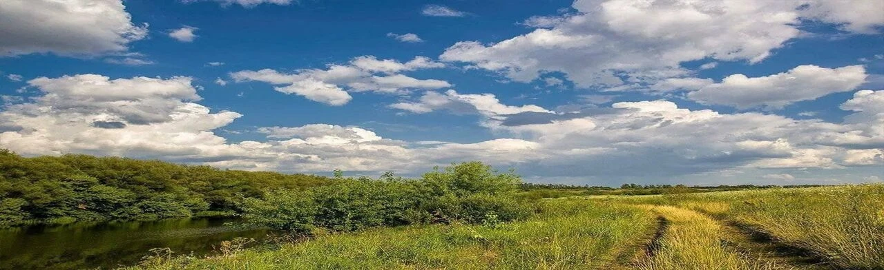 Всему начало здесь – в краю родном. Краеведческий квилт