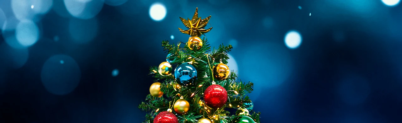 Новогодний банкет Кавсказский экспресс