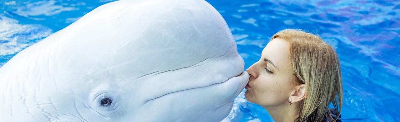 Плавание с китами