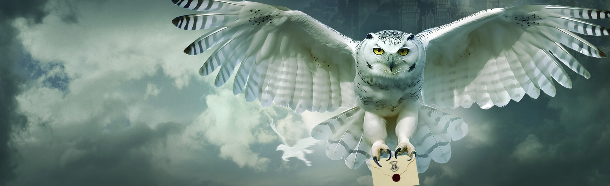 Концерт "Гарри Поттер. Оркестр Sonorus"