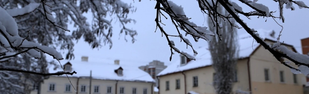 В гостях у сказки. Детская программа