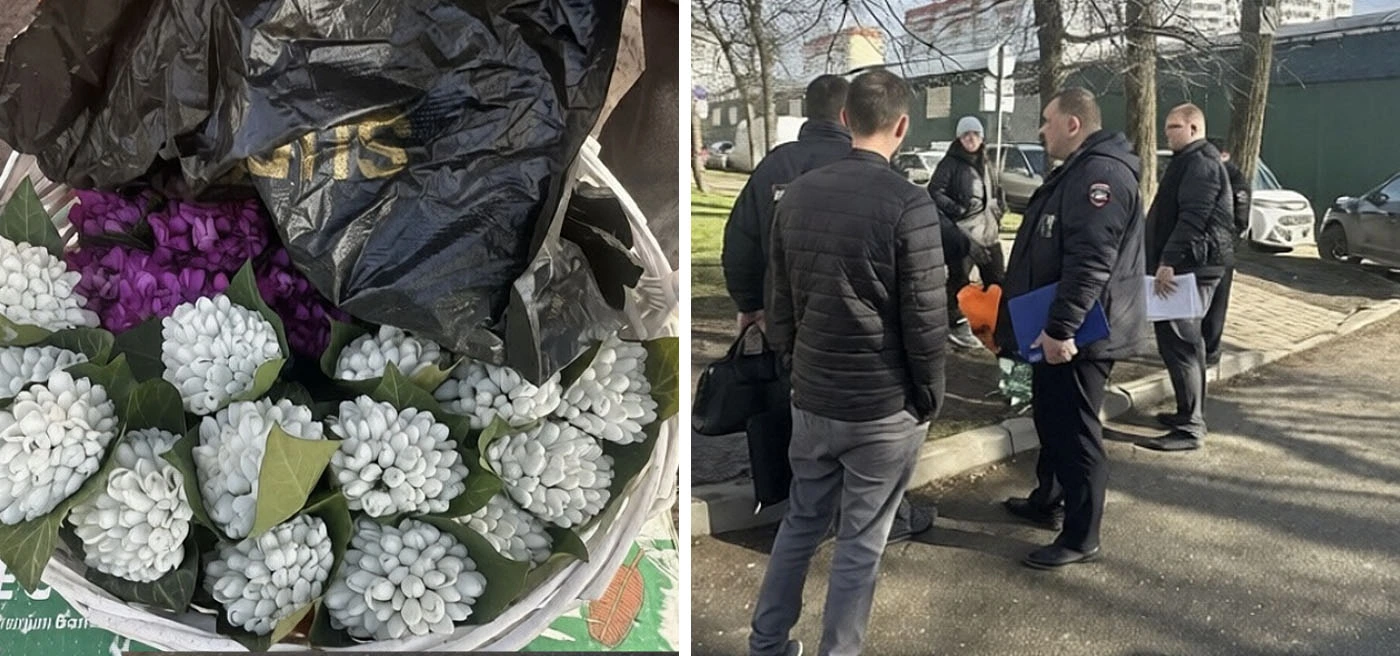 Постер В Краснодаре начали защищать первоцветы от продавцов